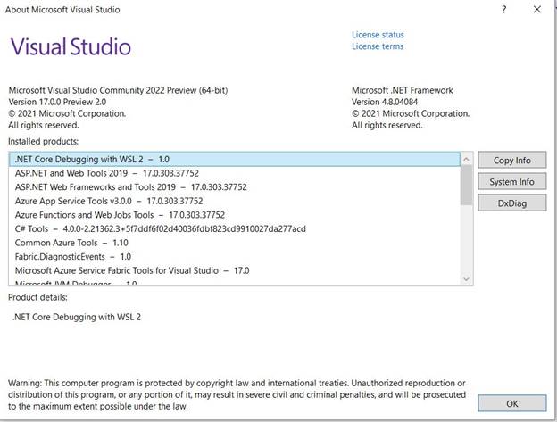 .NET 6 Feature In Visual Studio